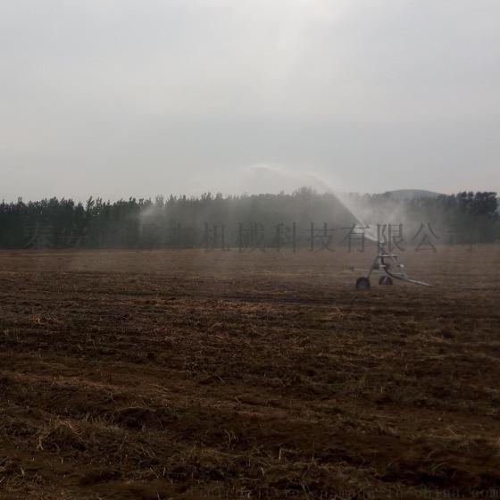农用节水灌溉设备，平移式喷灌机 农业喷灌设备