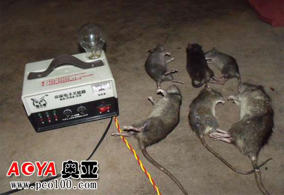 电子环保灭鼠器