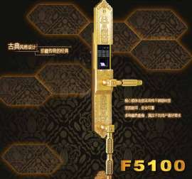TENON亚太天能 F5100指纹锁家用防盗门锁电子门锁智能感应锁